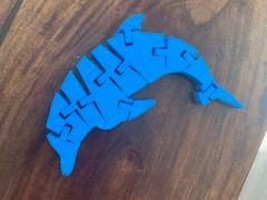 Dolphin Flexi