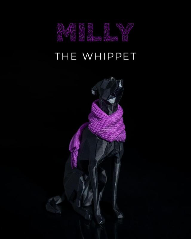 Milly, the Whippet