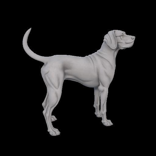 Proud Great Dane Standing Pose 3D Model – CA0048