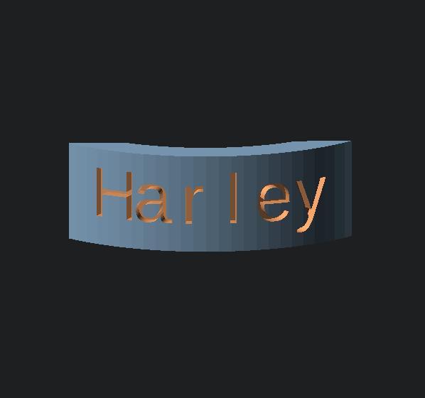 Cat Name Tag