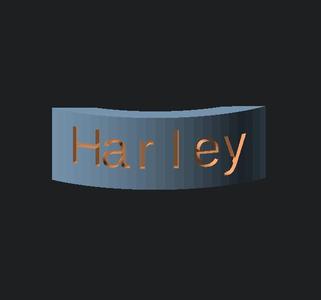 Cat Name Tag