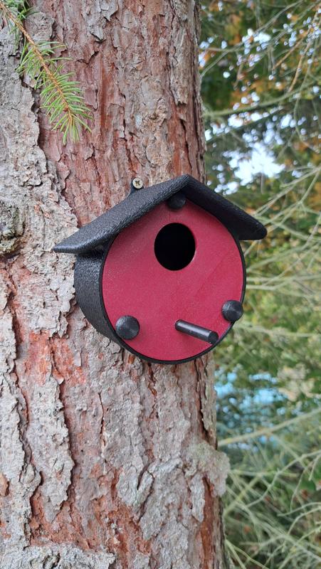 Nistkasten für Vögel | Nesting Box for Birds