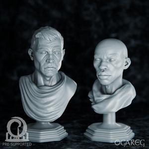 Godfrey & Lazarus Academic Bust, presupported