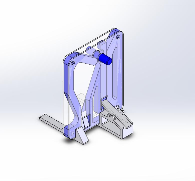 Parrot Puzzle for Popeye the Sulphur-crested cockatoo