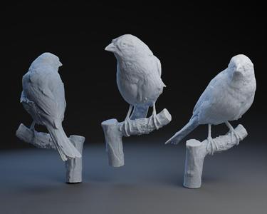 Put A Bird On It.