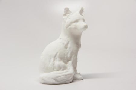 Sitting Fox