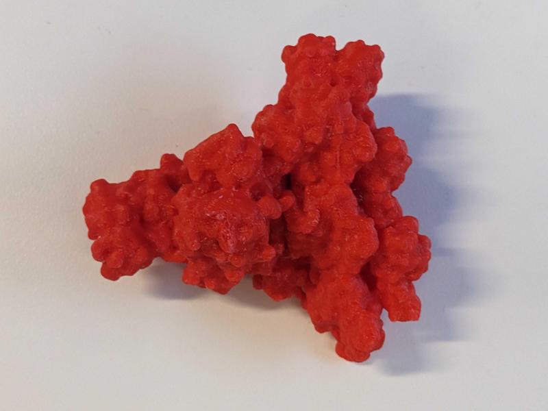 Arp2/3 protein complex