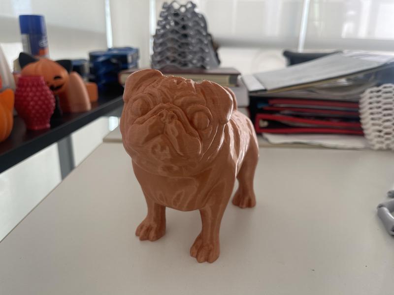 Pug (Coaster)