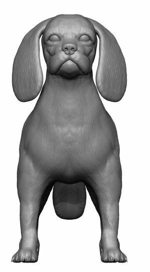 Gift for dog lovers