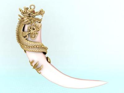 Dragon pendant - Feral pigs Fang -  Bears claw - Tiger nails