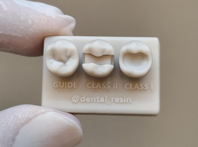 Lower premolar for training