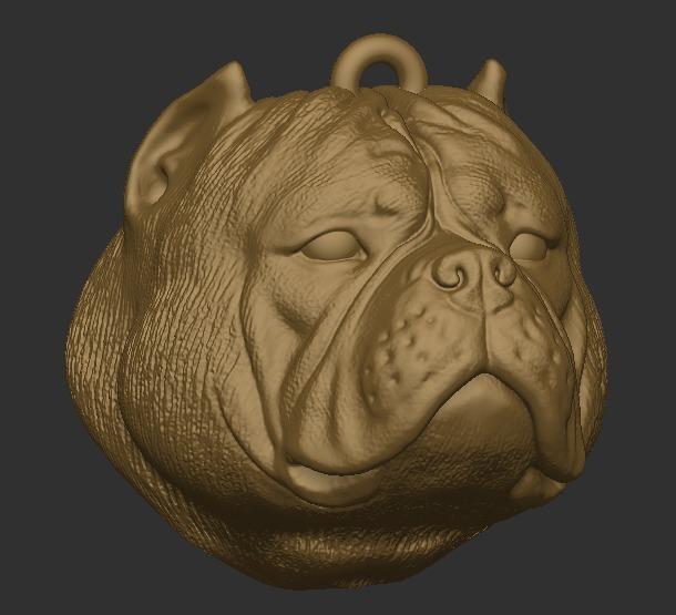 American bully Key ring