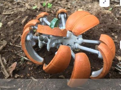 pumpkin spider