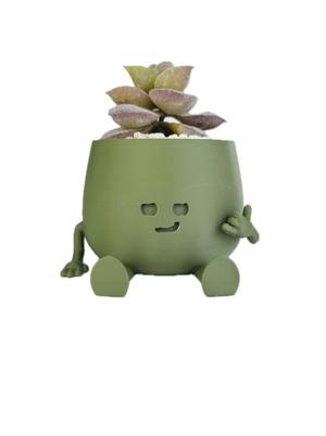 BOBBY PLANTER / CHILL PLANTER / SUCCULENT PLANTER / HAPPY FACE PLANTER