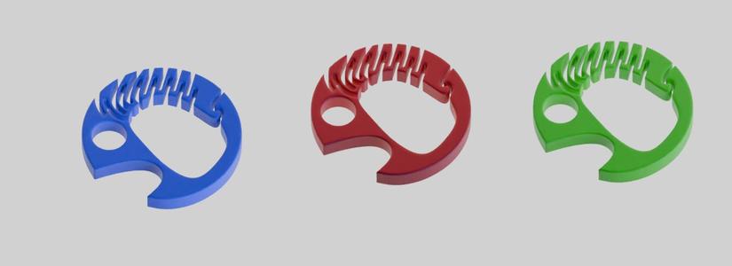 carabiner keychain fish