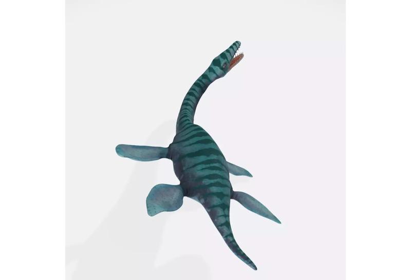 Plesiosaurus 3D Model Ready to Print