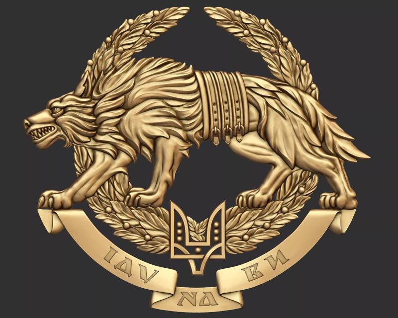 Special Operations Forces Ukraine SSO