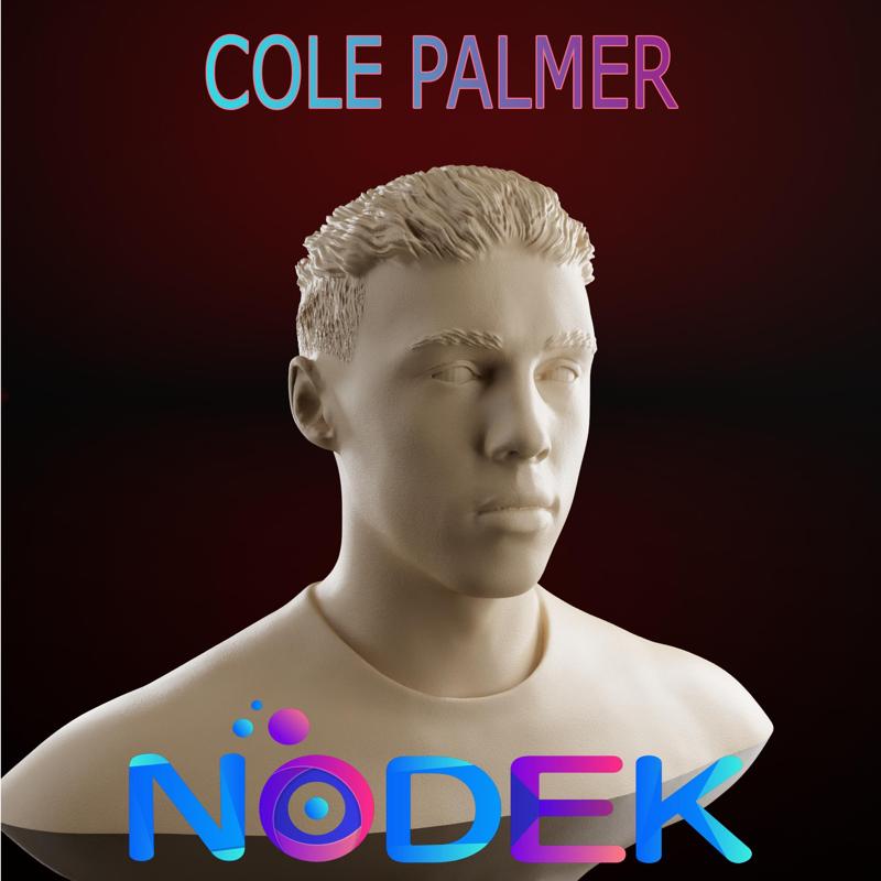 Cole Palmer Bust