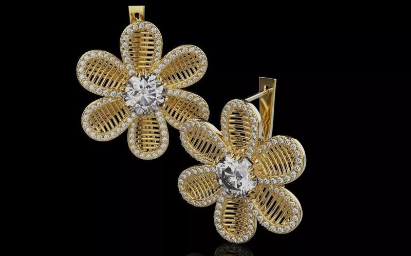 Earrings 0060