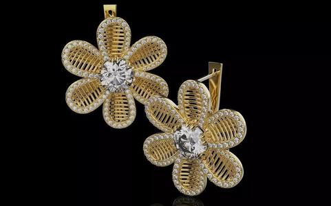 Earrings 0060