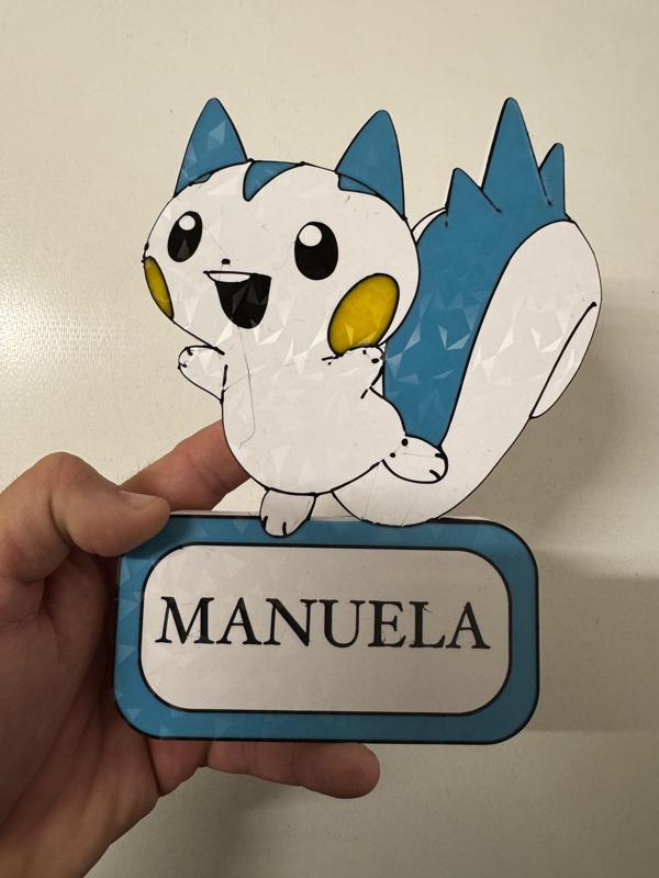 Pokemon Pachirisu with editable name