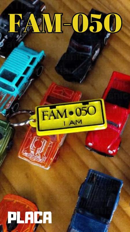 Placa FAM-05O