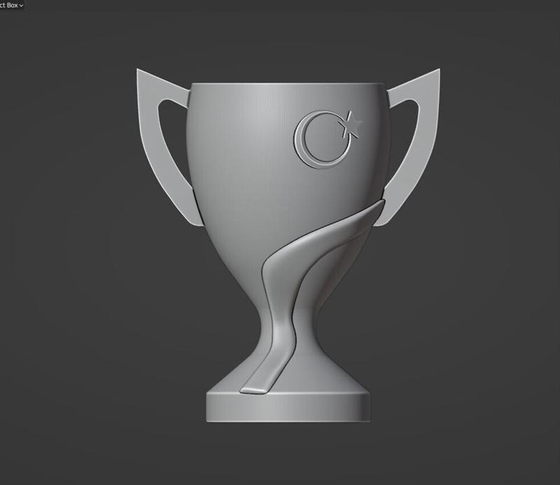 türkiye ziraat kupası