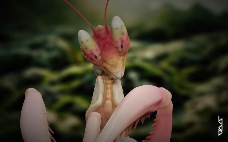 FOR MY LOVE  San Valentino 2025