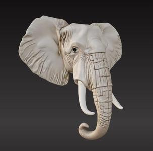 Elephant head