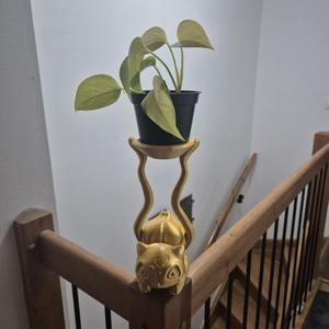 [FREE] BULBASAUR FLOWER POT RAISER