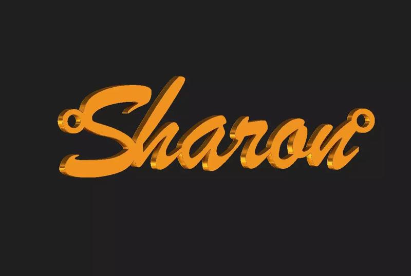 Sharon name plate pendant