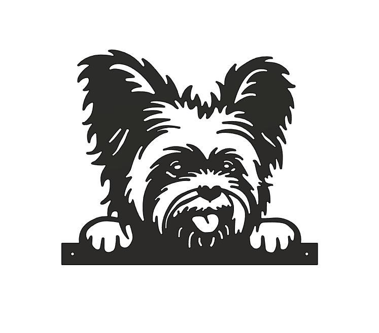 Yorkshire Terrier Dog