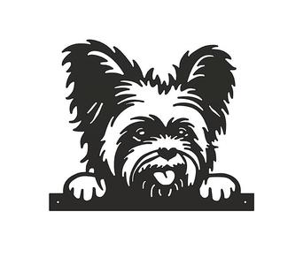 Yorkshire Terrier Dog