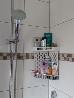 Shower shelf extender
