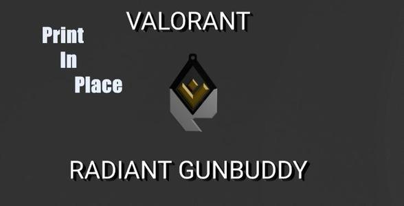 Valorant Radiant Gunbuddy