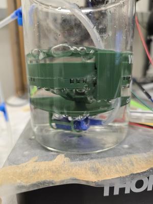 Acute brain slice incubator_MK2