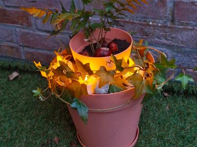 Basic Planter in a planter