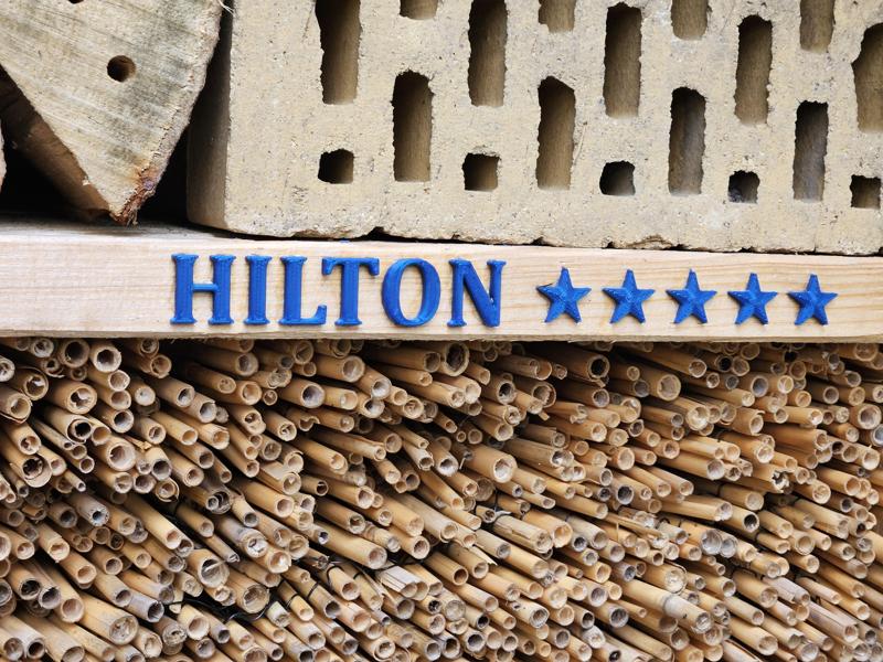 Five Stars Insect Hotel