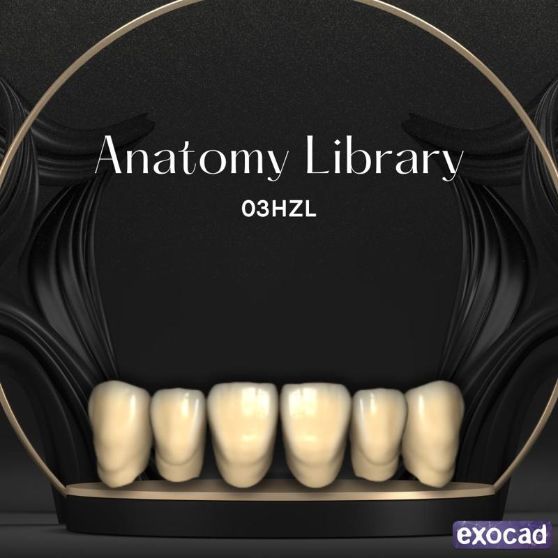 Dental Library 03HZL