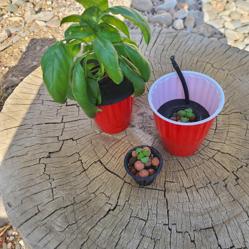 2in Netpot Adapters for Costco Red Solo Cup