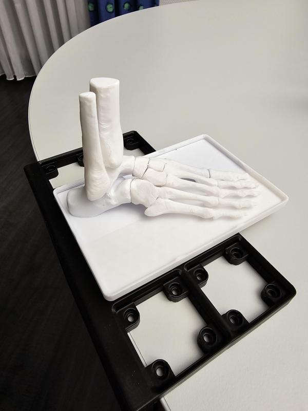 Gridfinity human foot