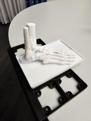 Gridfinity human foot