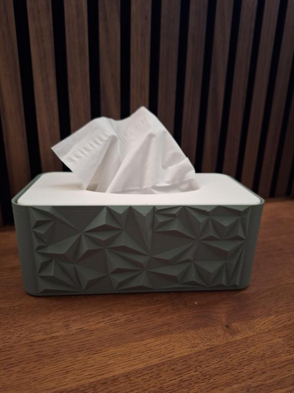 Tissue holder