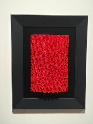 Lizar hostotxiki / Narrow-leafed Ash / Fresno de hoja pequeña / Fraxinus angustifolia