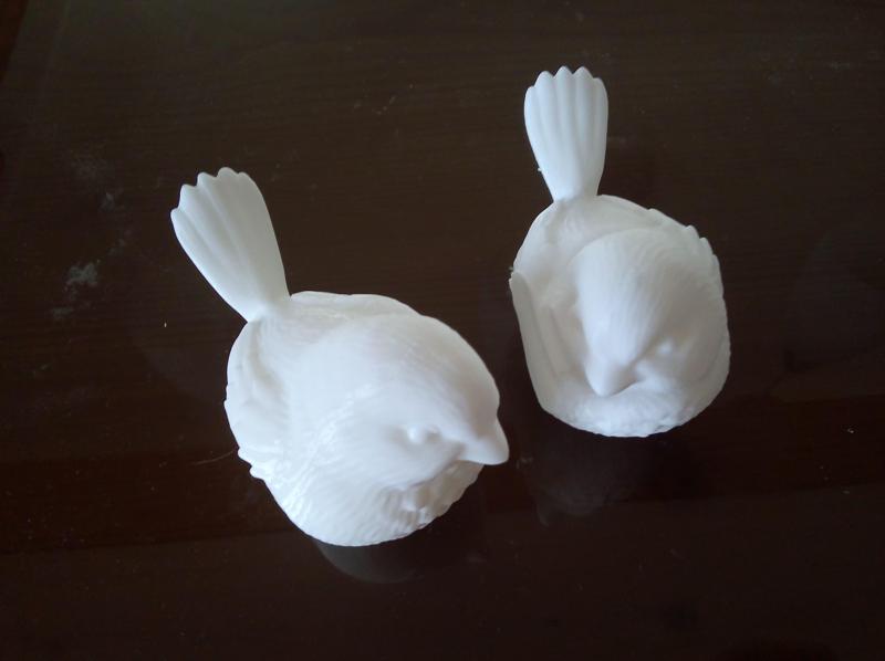 Love Birds by Adam Beamish - Split