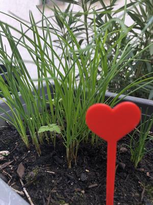 Lovepin  - mothersday - valentines day