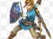 link's life