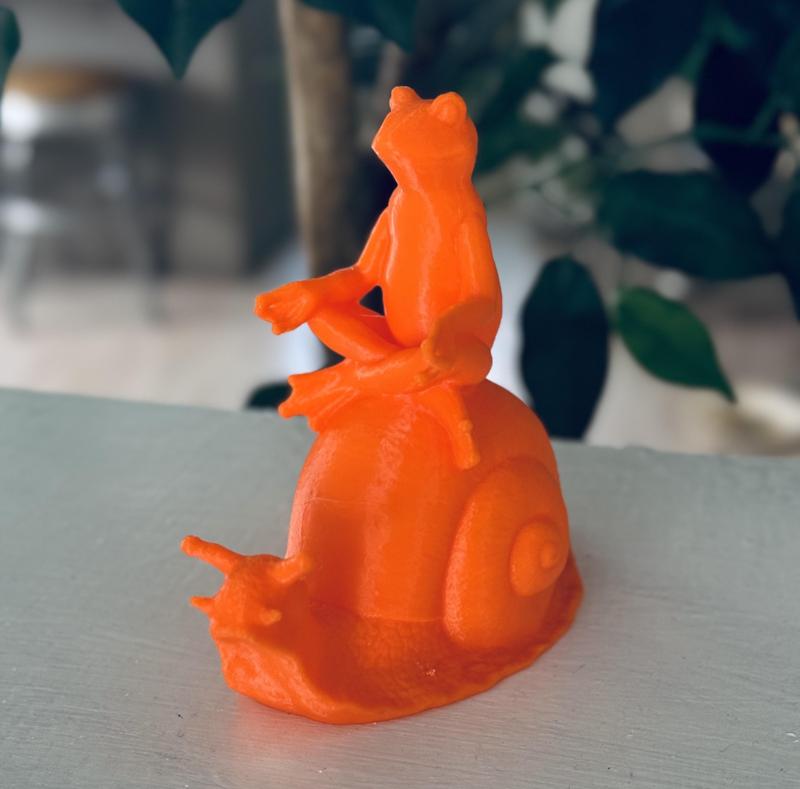 Frog meditating on a Snail