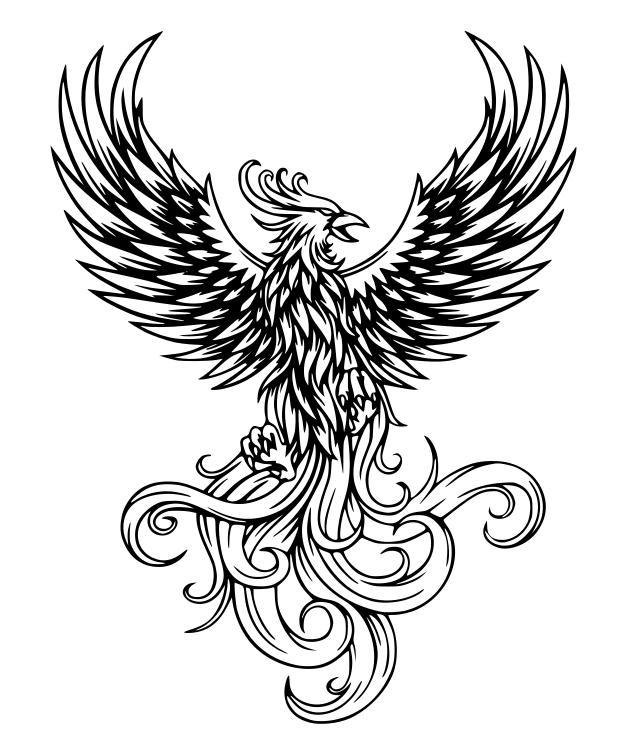 Phoenix Fire Art