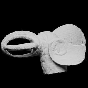 Royal Elephant mask